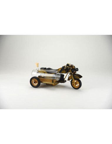 Moto side-car